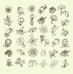 Collection of hand drawn flowers. Elements for your design.  Vector illustration