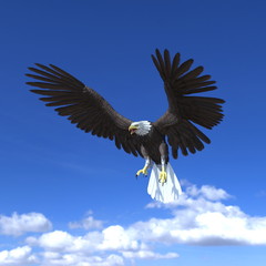白頭鷲