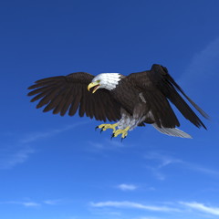 白頭鷲