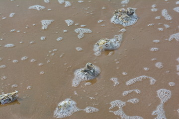 Fundsachen am Strand