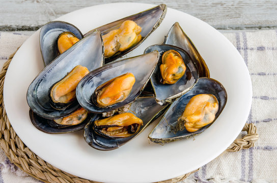 Mussels in the shell