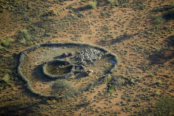 Aerial view of Masai village in nature's circle and goat herds near Lewa Conservancy, Kenya, Africa