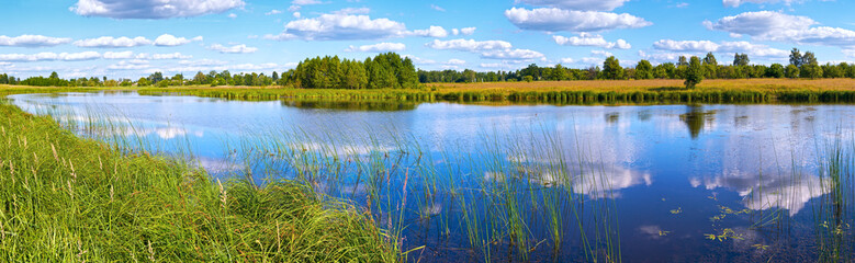 Summer rushy lake panorama