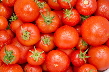 Food group tomato