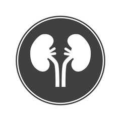 Human kidneys icon