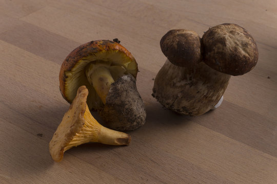 wild mushrooms