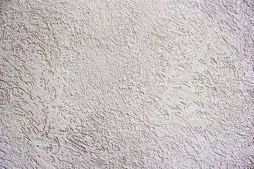 Decorative plaster bark beetle