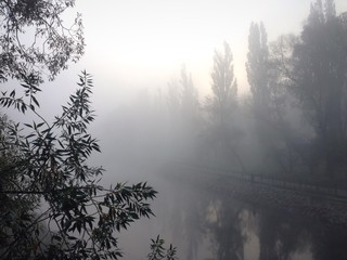 Mist over the river