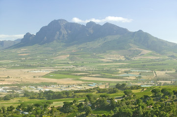 Naklejka premium Vineyards of Stellenbosch wine region, outside of Cape Town, South Africa