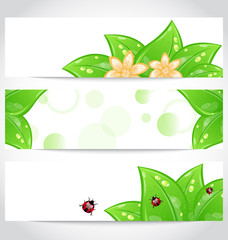 Set of bio concept design eco friendly banners (2)