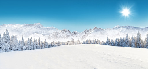 Winter snowy landscape - Powered by Adobe