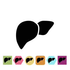 Human liver icon