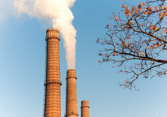 Chimney smoke with blue sky