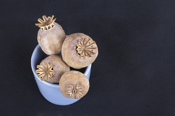dry poppy capsules in a blue cup