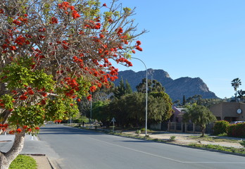 Fototapeta na wymiar Montague Mountains - Western Cape