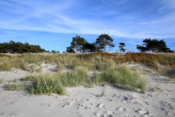 Strand Hiddensee 2