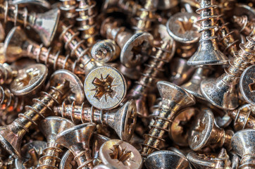 Close Up Of A Collection Of Woodscrews 1