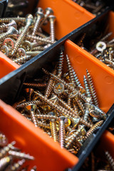 Close Up Of A Collection Of Woodscrews In Cells 2
