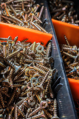 Close Up Of A Collection Of Woodscrews In Cells 1