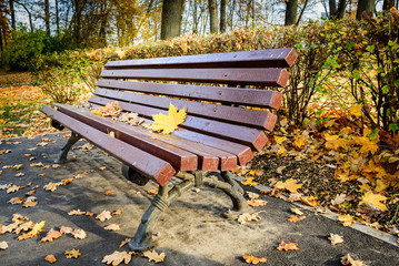 Bench in autumn park