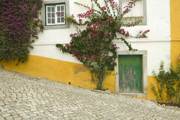Narrow streets and green door in the village of Obidos founded by the Celts in 300 BC, Portugal
