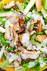 Chicken salad with zucchini