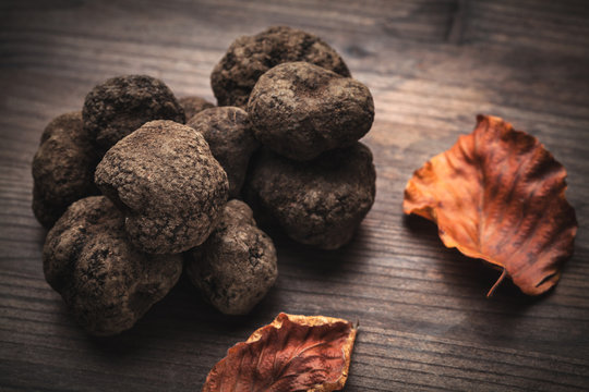 mushroom black truffle