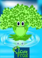 Göldeki Sevimli Kurbağa