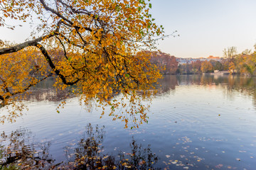 Fototapeta premium Couleurs d'automne sur le lac du Parc de la Tête-d'Or de Lyon