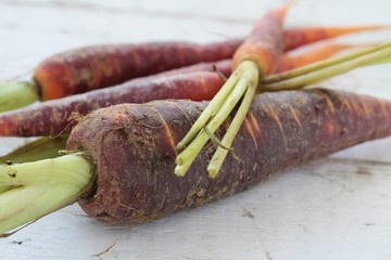 heritage chantenay carrots