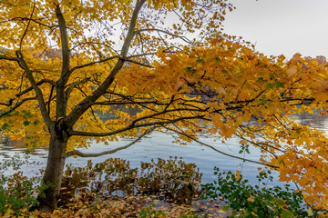 Couleurs d'automne sur le lac du Parc de la Tête-d'Or de Lyon