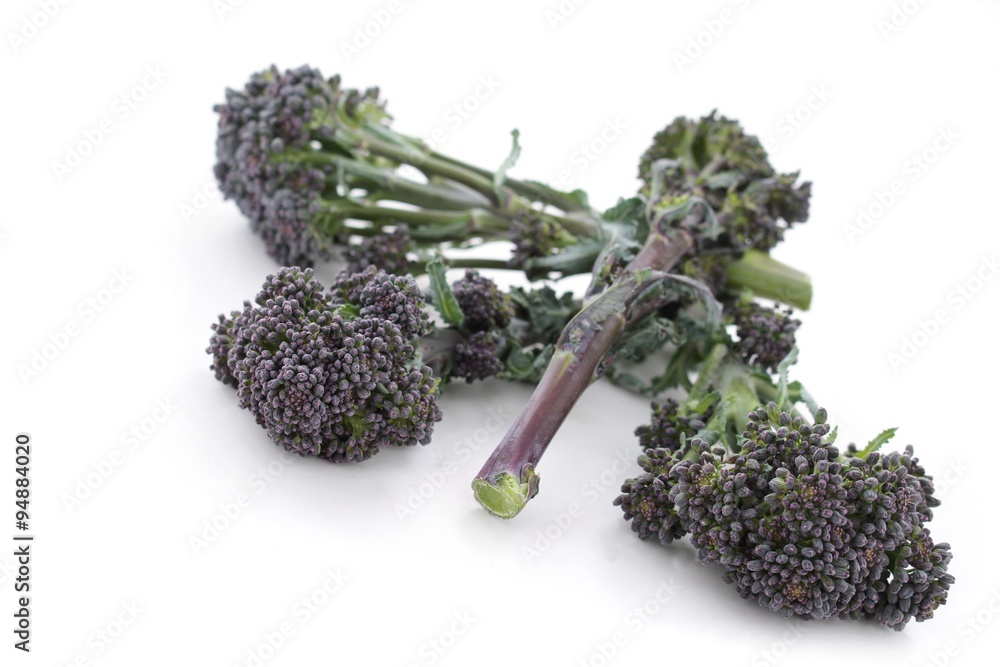 Canvas Prints purple sprouting broccoli