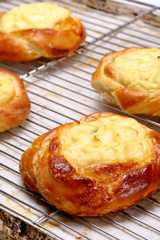 Bun pie with cheese