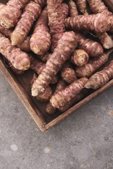 jerusalem artichoke