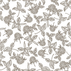 Seamless pattern with clover. Monochrome hand-drawn vector background