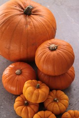 pumpkin selection