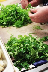 chef chopping parsley