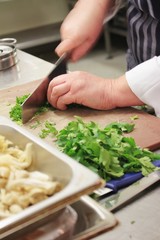 Obraz na płótnie Canvas chef chopping parsley