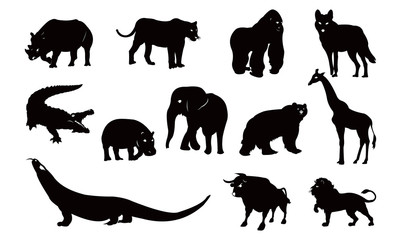Wildlife Big Animal Silhouette Package
