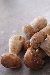 wild porcini mushrooms