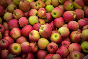 apples in the market