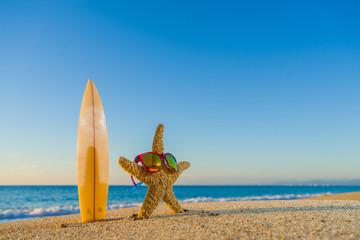Starfish with sunglasses  on the beach