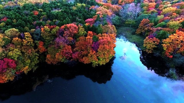 空撮：ブルーの池とまわりの紅葉樹