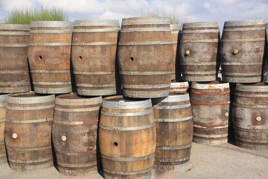 barricas de madera para el vino