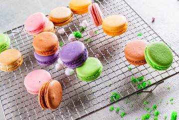colorful macaroons