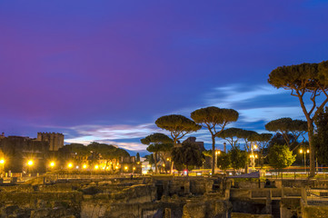 Ruins of the Roman forum at night, just before dawn, with trees,