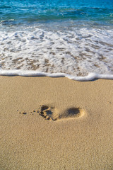 Footprints near the shoreline in the sand