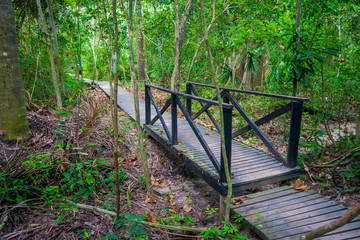 tayrona natural national park walking path