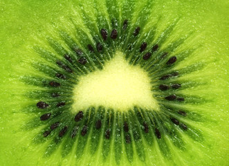 Cross section of a kiwi fruit