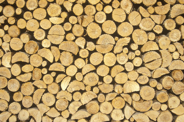 Wood cut for winter
